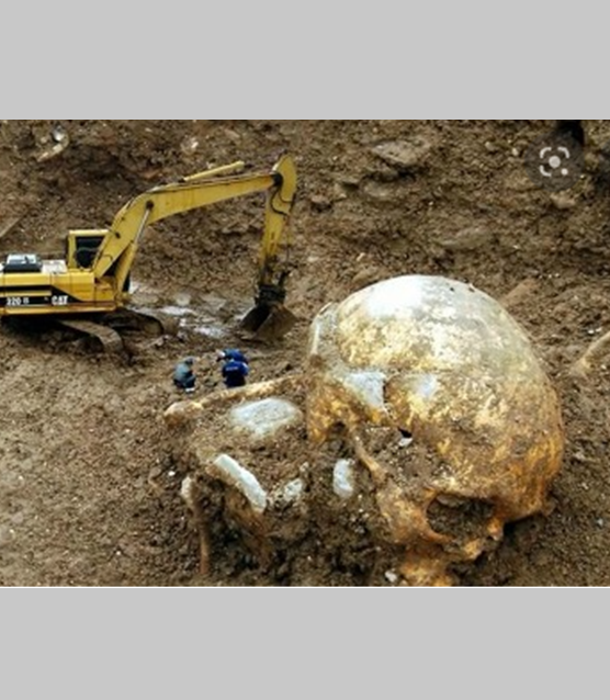 네피림 거인에 대한 성경 창세기 6장 기록과 증거들.