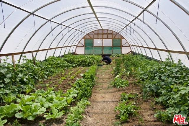 루센밸리 대추나무가 있는 농장 루센밸리 대추나무가 있는 농장